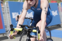 DSC_7262_bearb_small